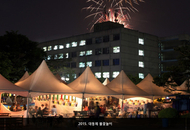 19. 2015. Daedong Festival Fireworks